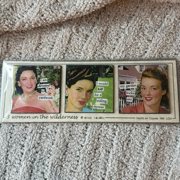 Retro Fun from Anne Taintor!!! Set of 3 magnets on a large silver metal magnet - Picture 1 of 6
